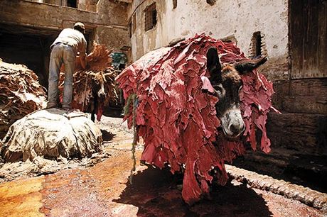 La Medina di Marrakech: tra anarchia e sogno