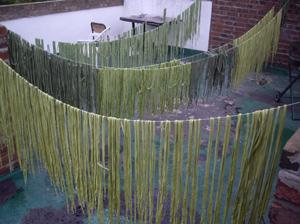 Dominic Wilcox_field