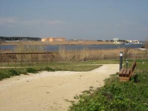 CicloTurismo Napoli: Parco di Liternum, tra lago e pineta le vestigia di Scipione l’Africano