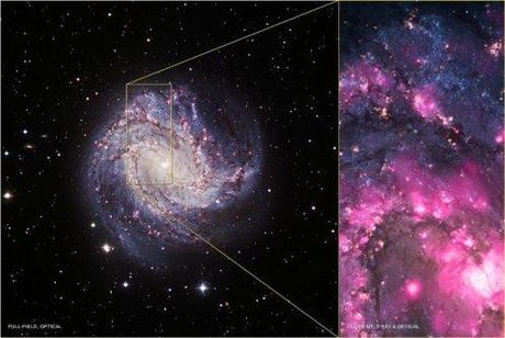 Outburst di un buco nero da M83