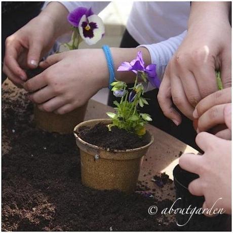 Aregai in Fiore… immagini e pensieri