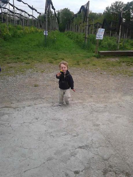 RIASSUMENDO ovvero SUL VERO TALENTO