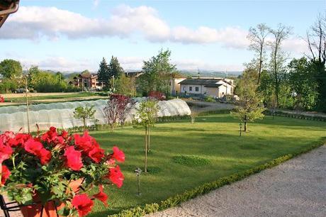 UN PO' DI LANGHE E ROERO, VINUM E ALBACAMP UN PO' DI LANGHE E ROERO, VINUM E ALBACAMP