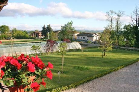 UN PO' DI LANGHE E ROERO, VINUM E ALBACAMP