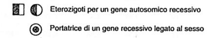 Alberi genealogici: i simboli