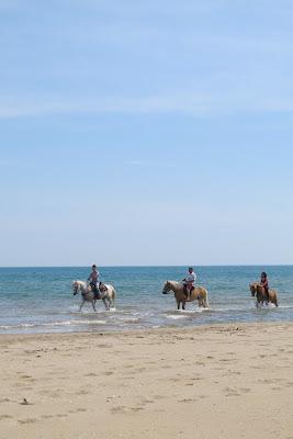 Termoli