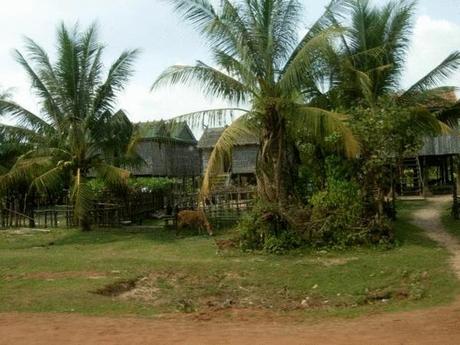 Cambodia People's Party Tour