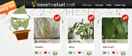 App iPhone per salvare le piante, community per salvare le piante d'appartamento, community forum sul giardinaggio, informazioni sulla cura delle piante, cura la pianta nel modo migliore, un mondo migliore, una pianta alla vol
