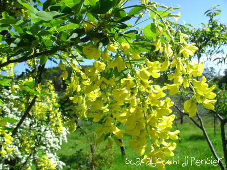 click di primavera #2