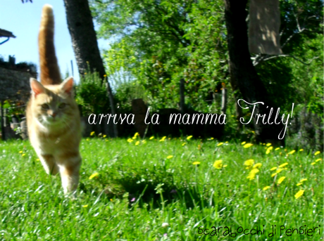 click di primavera #2