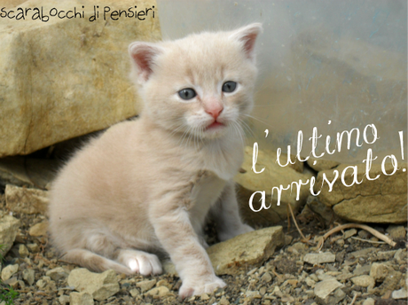 click di primavera #2