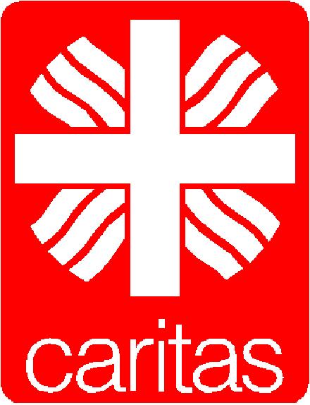 Caritas: arrivano i professionisti