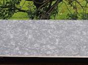 stiamo parlando della Viola, focosa soubrette