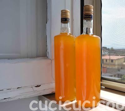 arancello x 2 / orange liquor x 2