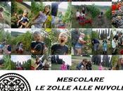 Mescolare zolle alle nuvole...baby-vendemmia Villa Petriolo