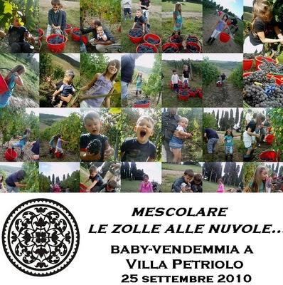 Mescolare le zolle alle nuvole...baby-vendemmia a Villa Petriolo