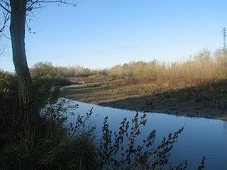 Parco fluviale del torrente Stirone,  il presidente non c'è più