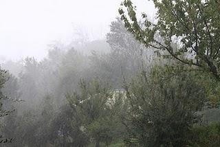 cronaca di una passeggiata domenicale