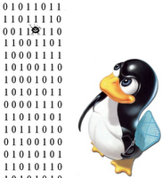 La gestione della memoria in Linux: la memoria virtuale e la cache di buffer del disco.