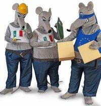 Sono Padani Questi Ratti