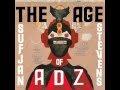The age of adz / Sufjan Stevens