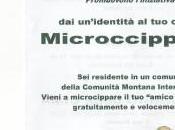 Microcippa cane gratuitamente