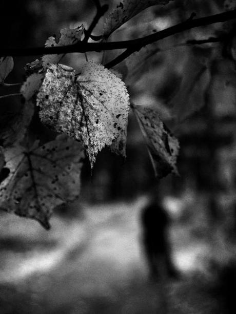 L’AUTUNNO CI SPIAZZA!