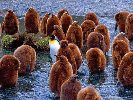 Le migliori foto di National Geographic Society, Luglio 2010.