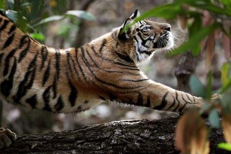 Le migliori foto di National Geographic Society, Luglio 2010.