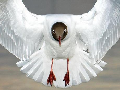 Le migliori foto di National Geographic Society, Luglio 2010.