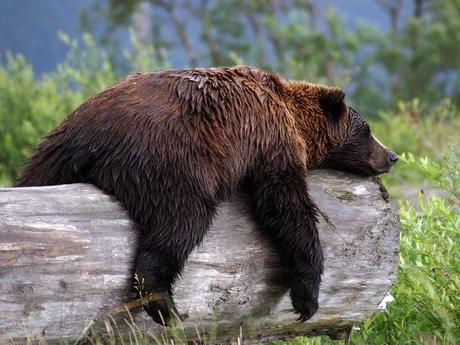 Le migliori foto di National Geographic Society, Luglio 2010.