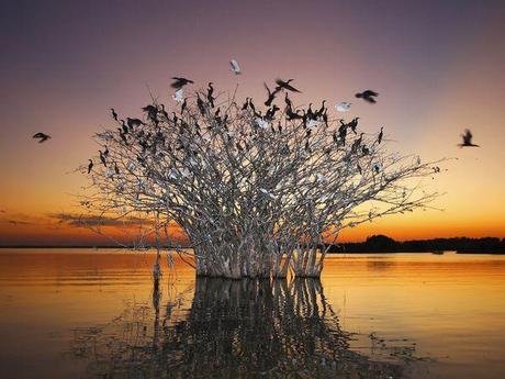 Le migliori foto di National Geographic Society, Maggio 2010.