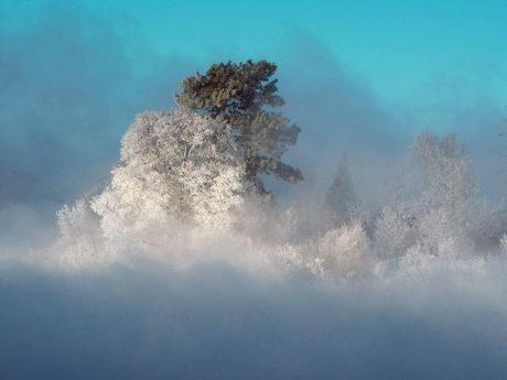 Le migliori foto di National Geographic Society, Maggio 2010.