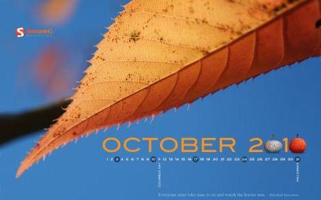 45 wallpaper con il calendario di Ottobre 2010