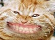 cartamodelli subito casa