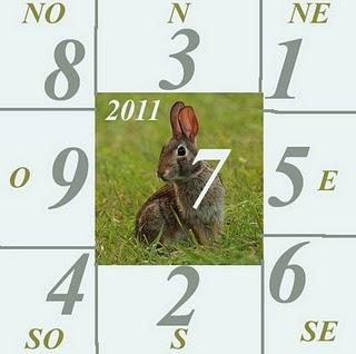 Acquista oggi  ASTRO CASA 2011 per l'anno del coniglio