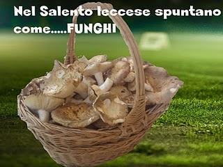 Nel Salento leccese li vedi spuntare come ...funghi