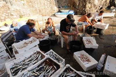 XIX FESTA del PESCE a POSITANO