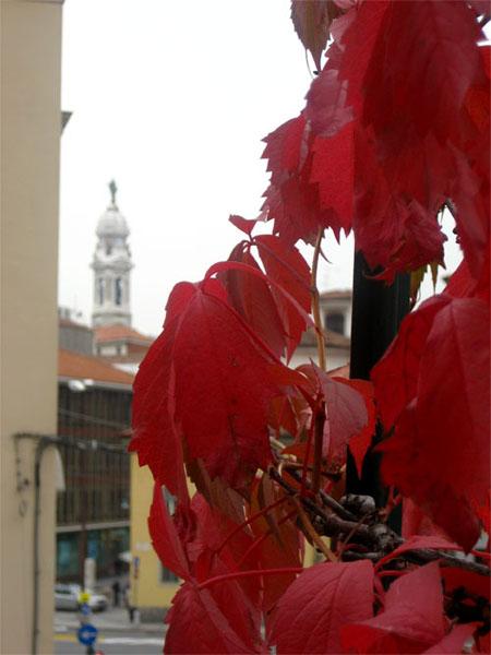 L'autunno fuori dalla finestra