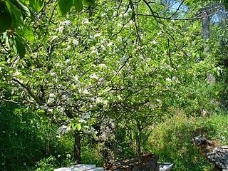 Una bella domenica!!