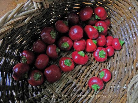 Marmellata di peperoncini poco piccante