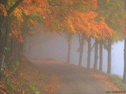 Perché poi quando arriva l’autunno sei più maliconica.