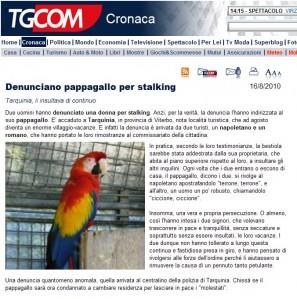 Denunciano pappagallo per stalking