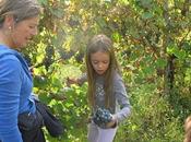 Vigna...didattica. gita scuola