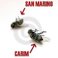 Come le mosche in salsa italiana: CARIM