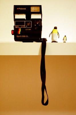 365project • pic 37/365