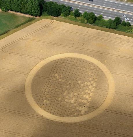 IL VOLTO DI GESU' E' APPARSO IN UN CAMPO DI GRANO