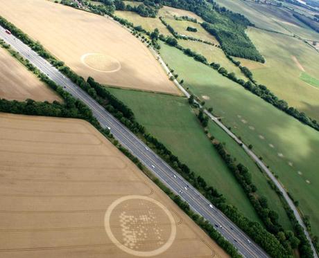 IL VOLTO DI GESU' E' APPARSO IN UN CAMPO DI GRANO