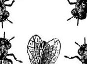 Elogio della mosca Luciano Samosata Poesia