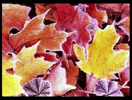 Per le strade della città